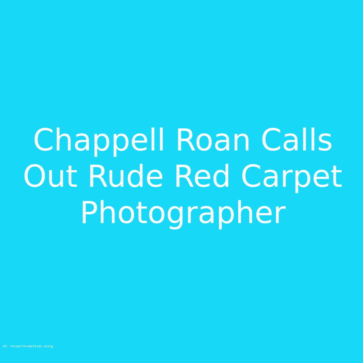 Chappell Roan Calls Out Rude Red Carpet Photographer