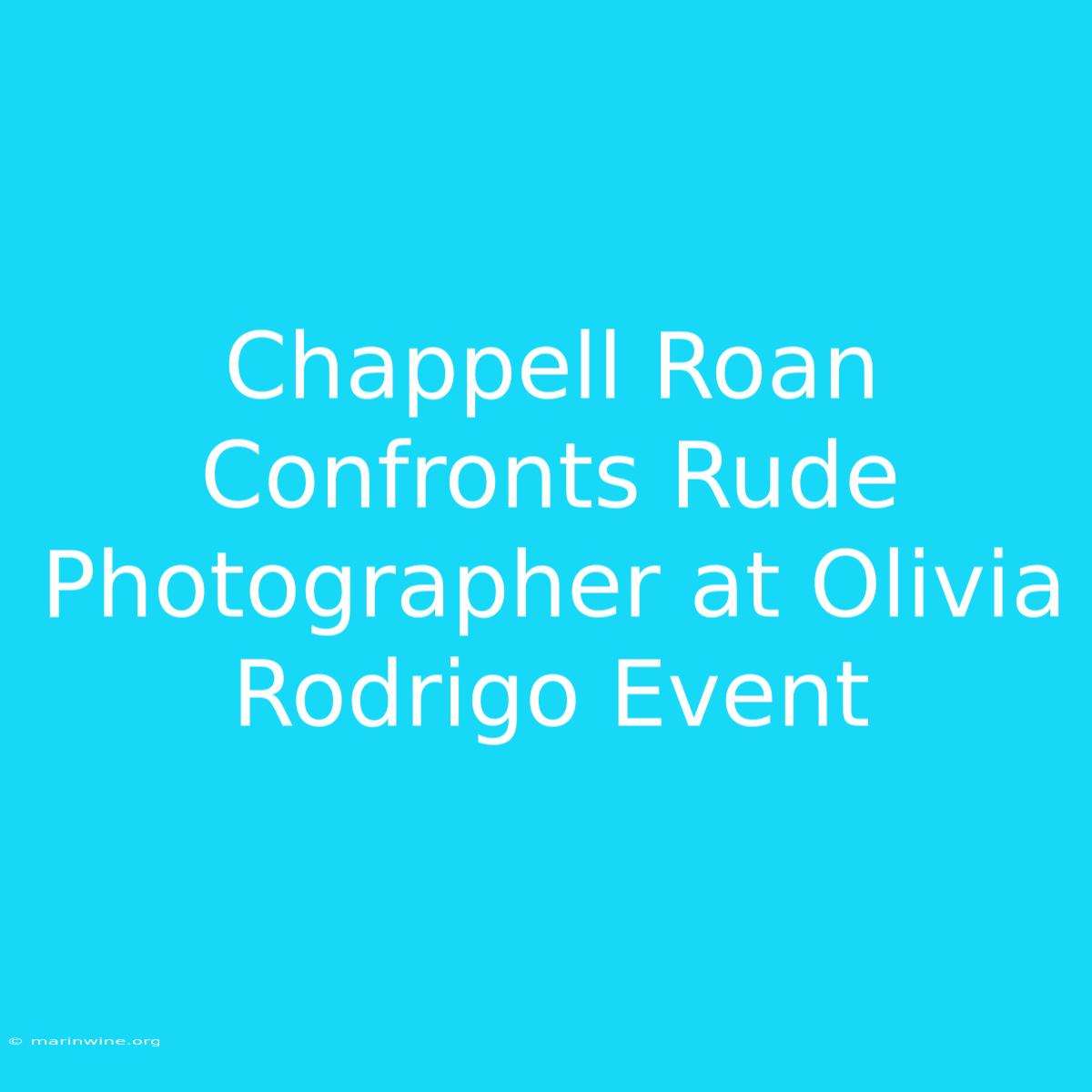 Chappell Roan Confronts Rude Photographer At Olivia Rodrigo Event