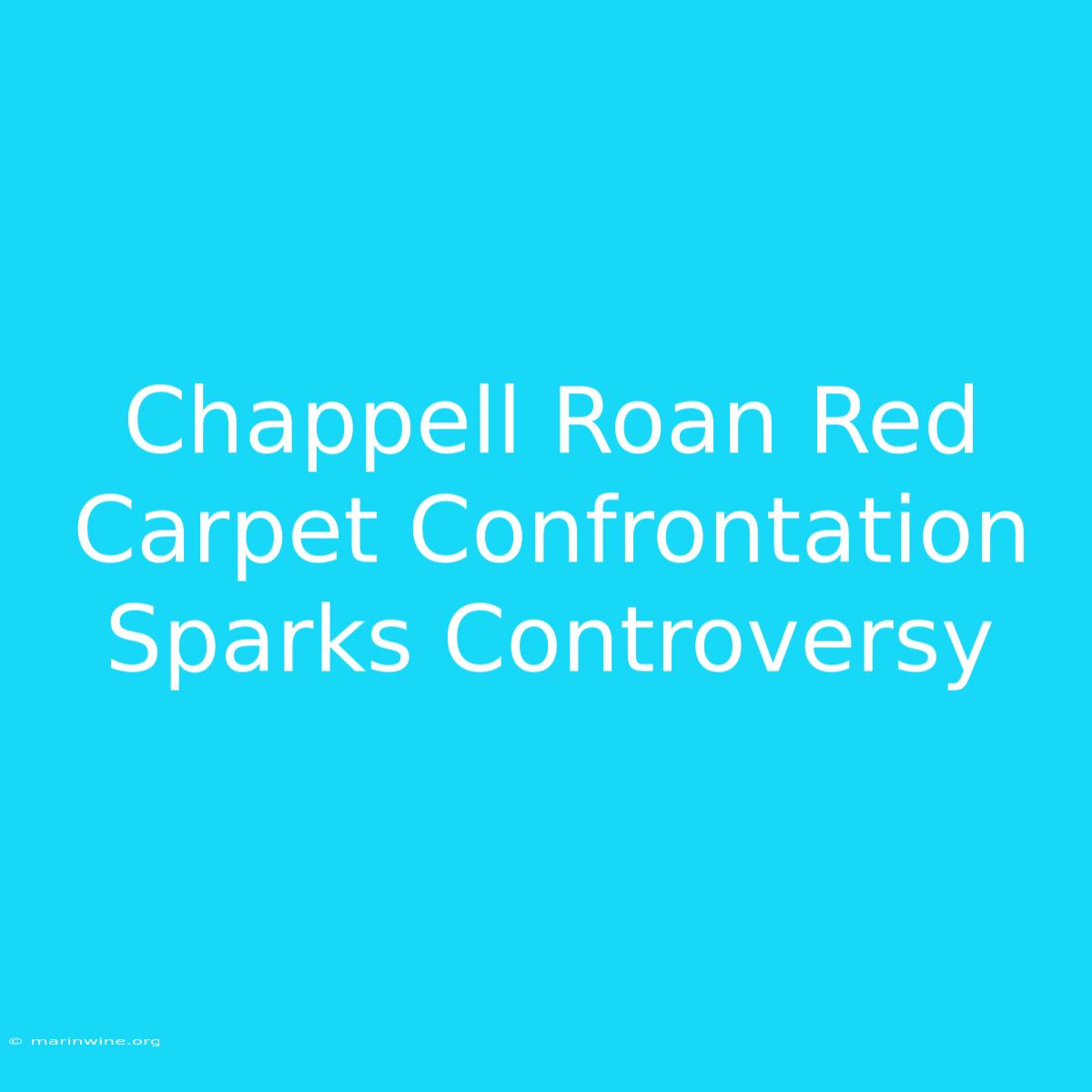 Chappell Roan Red Carpet Confrontation Sparks Controversy 