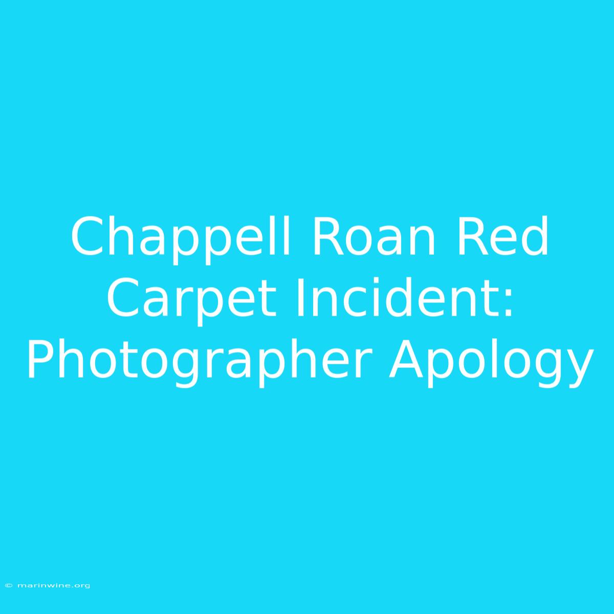 Chappell Roan Red Carpet Incident: Photographer Apology 