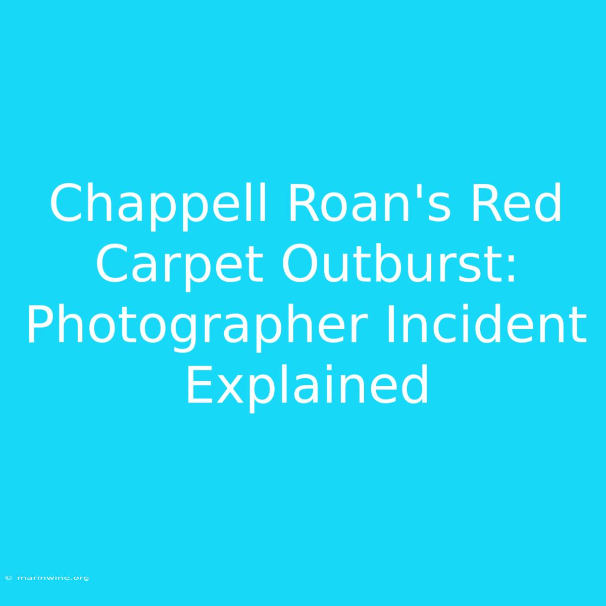 Chappell Roan's Red Carpet Outburst: Photographer Incident Explained