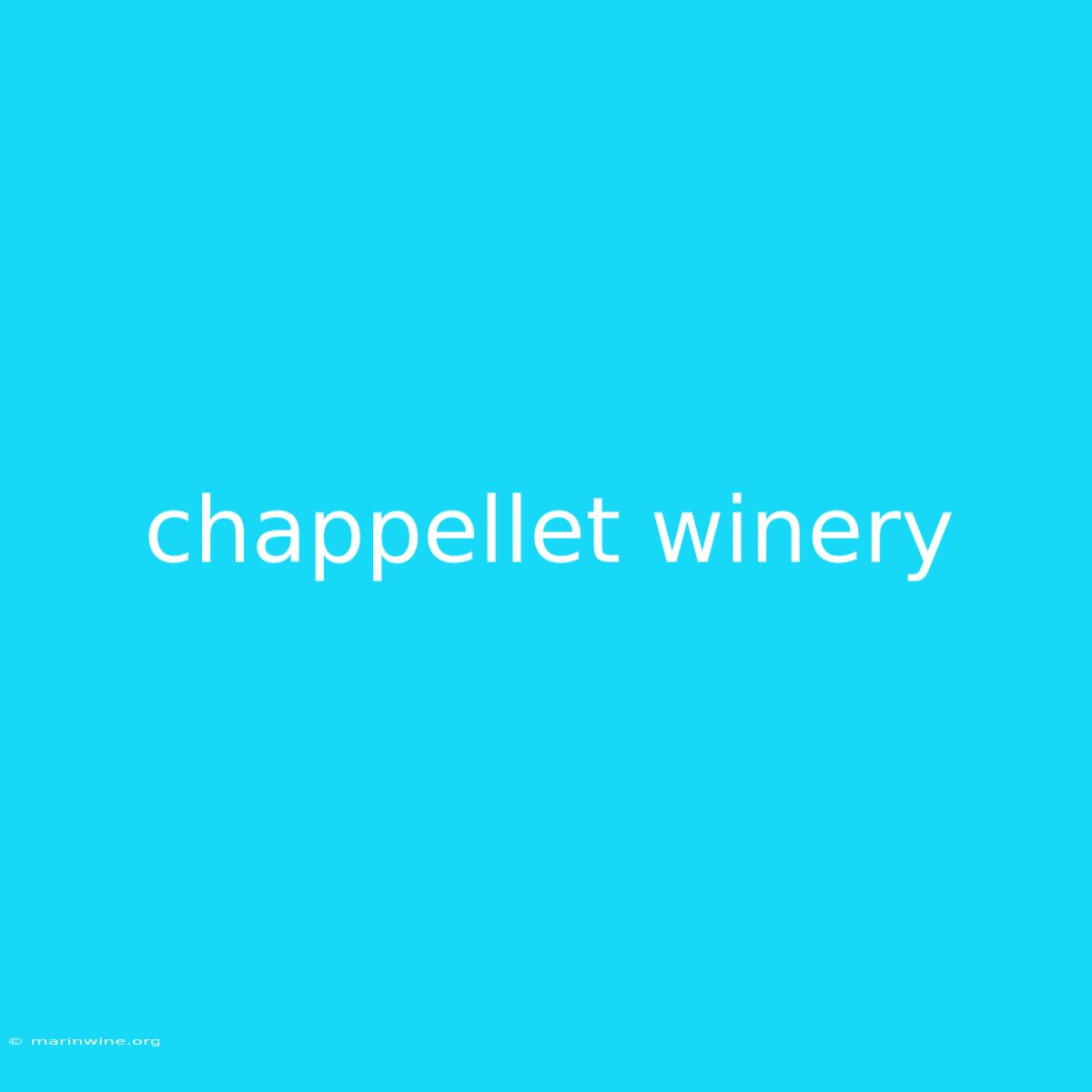 Chappellet Winery