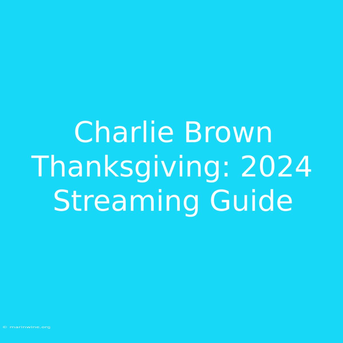 Charlie Brown Thanksgiving: 2024 Streaming Guide