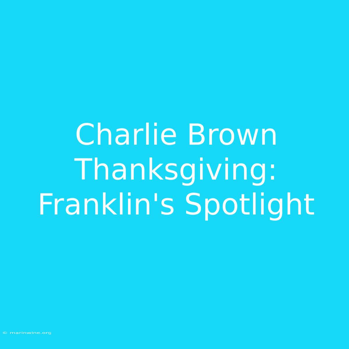 Charlie Brown Thanksgiving: Franklin's Spotlight