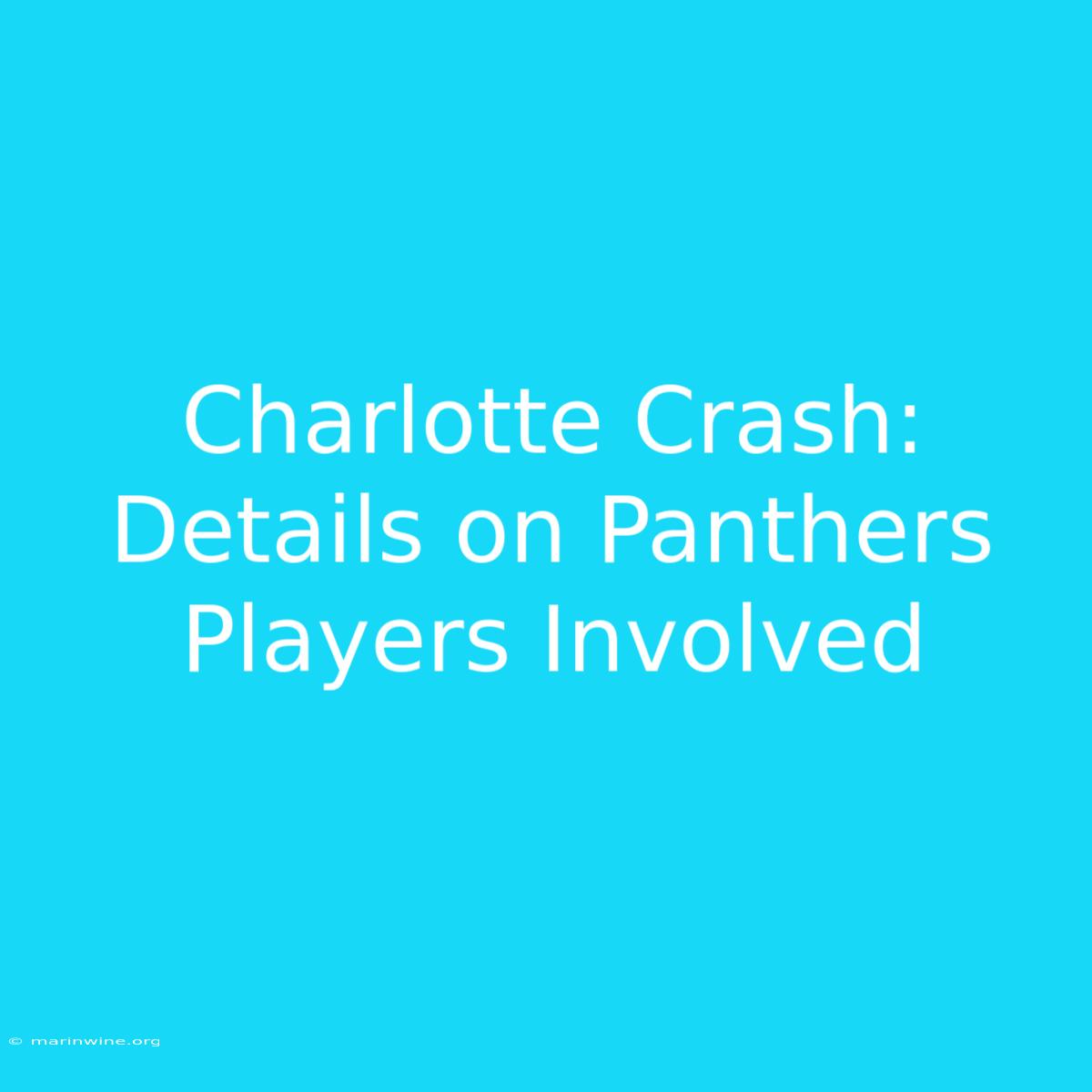 Charlotte Crash: Details On Panthers Players Involved