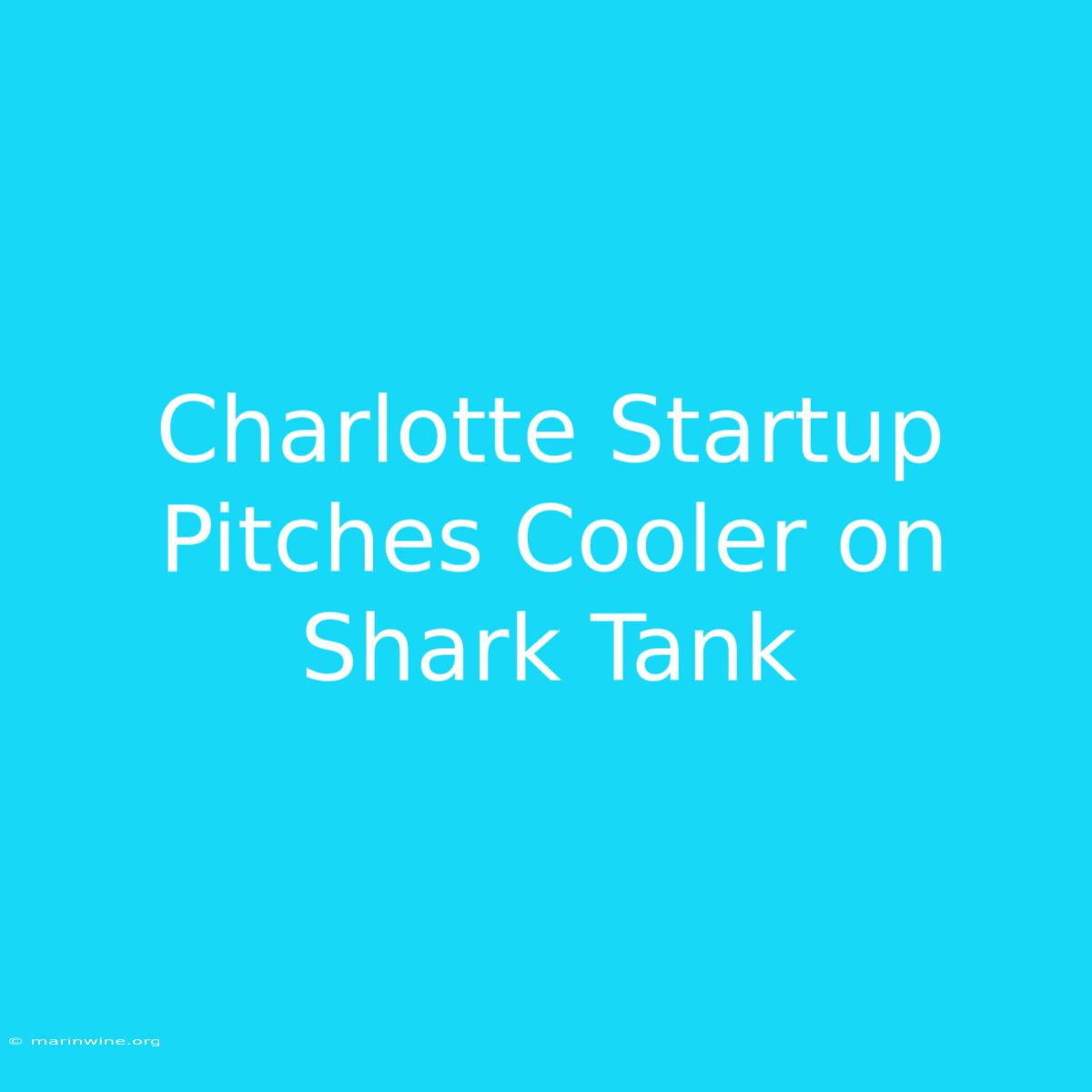 Charlotte Startup Pitches Cooler On Shark Tank