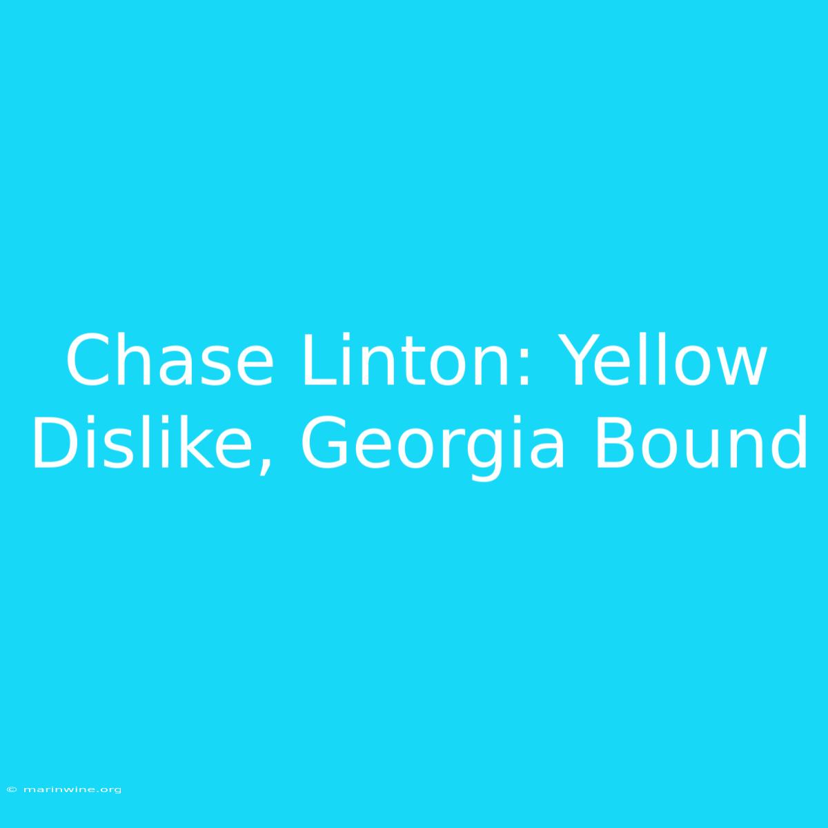 Chase Linton: Yellow Dislike, Georgia Bound