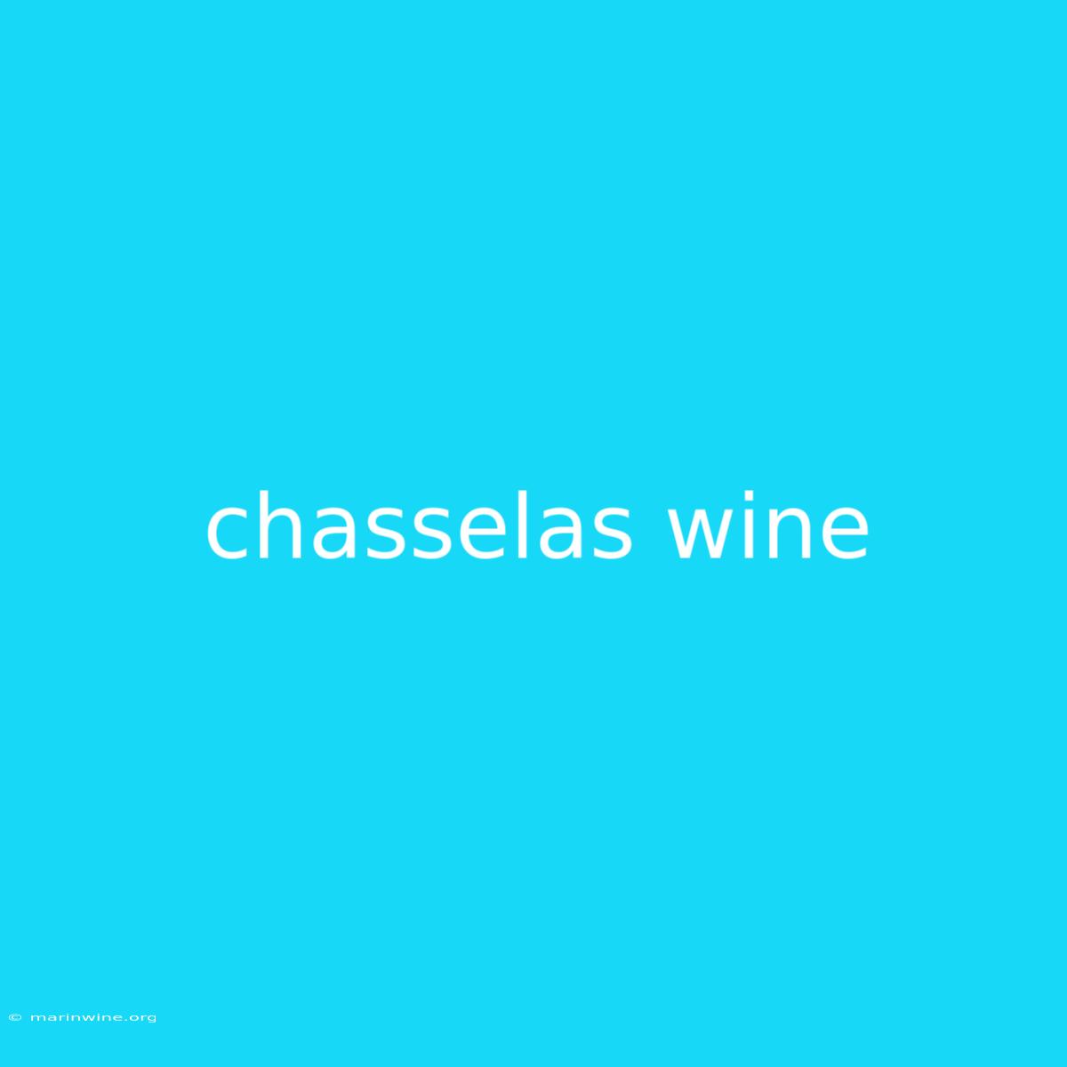 Chasselas Wine