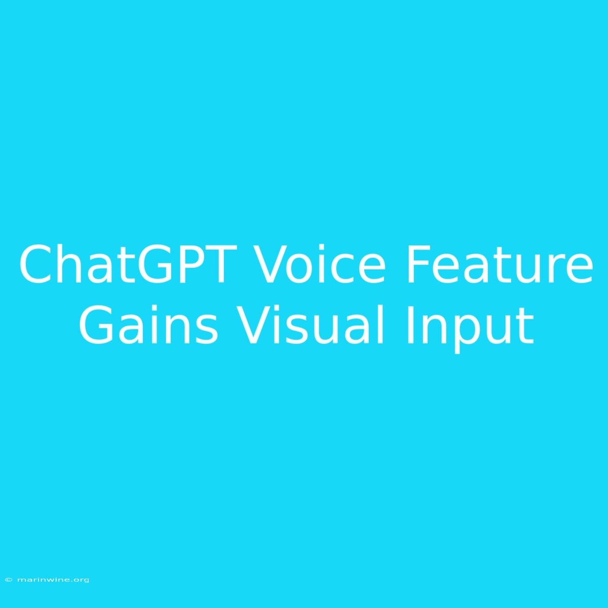 ChatGPT Voice Feature Gains Visual Input