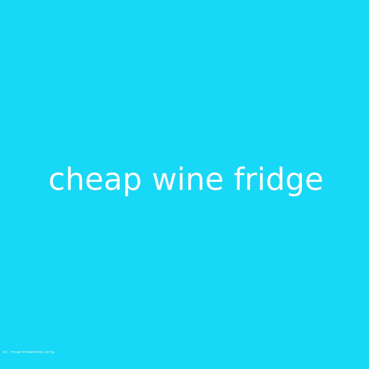 Cheap Wine Fridge