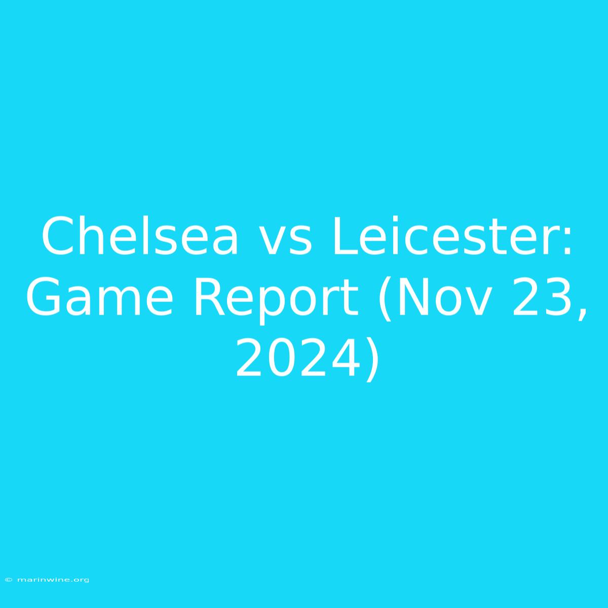 Chelsea Vs Leicester: Game Report (Nov 23, 2024)