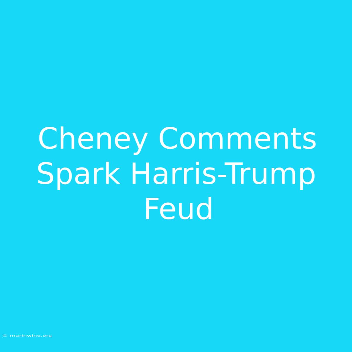 Cheney Comments Spark Harris-Trump Feud 