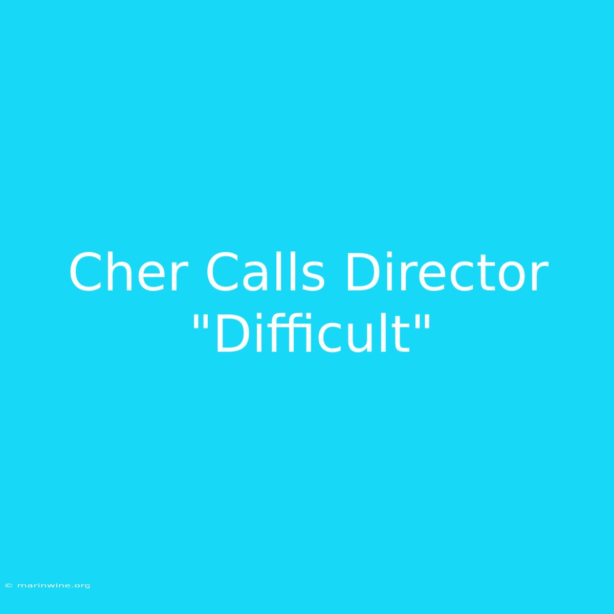 Cher Calls Director 