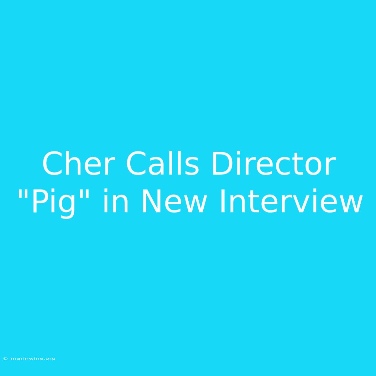 Cher Calls Director 