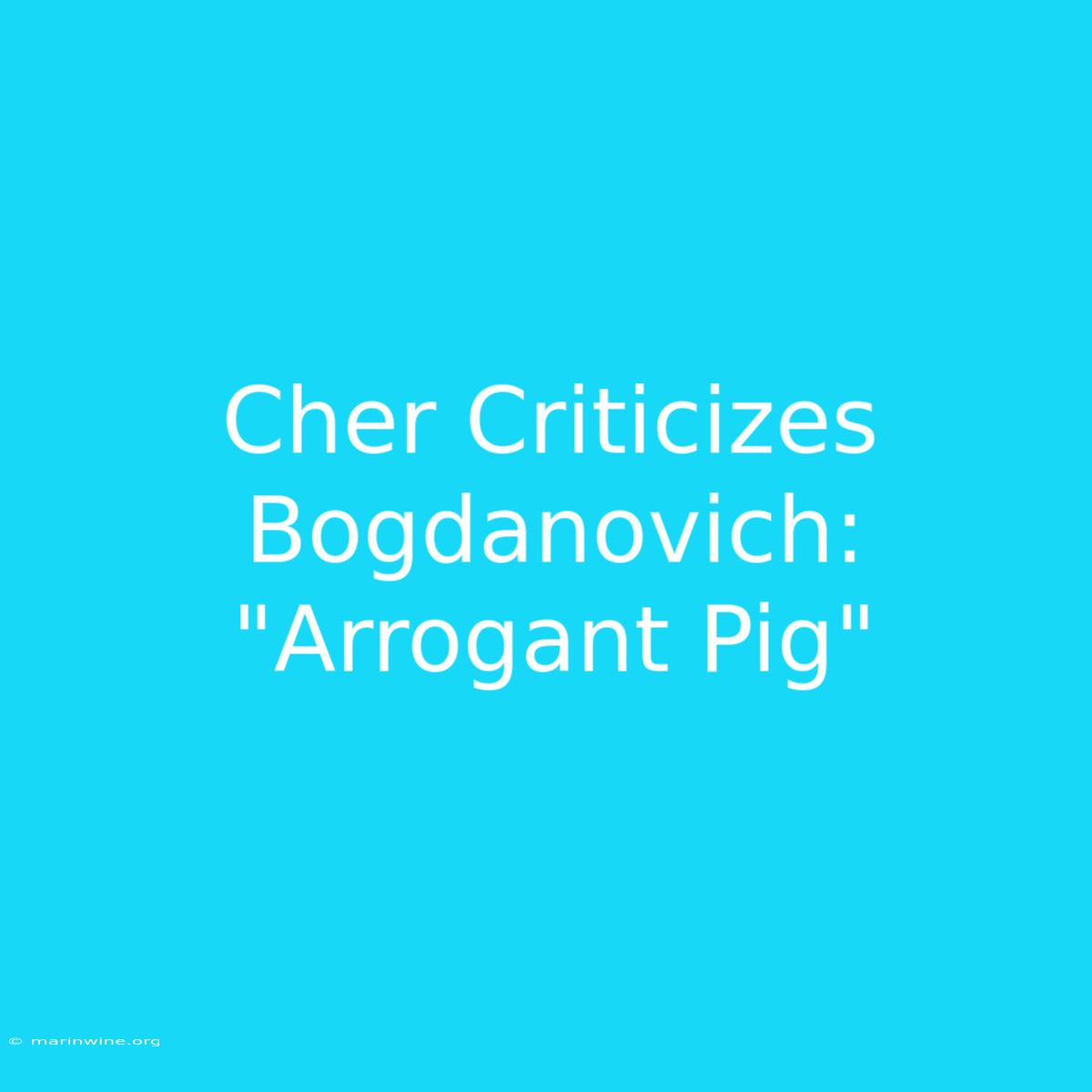 Cher Criticizes Bogdanovich: 