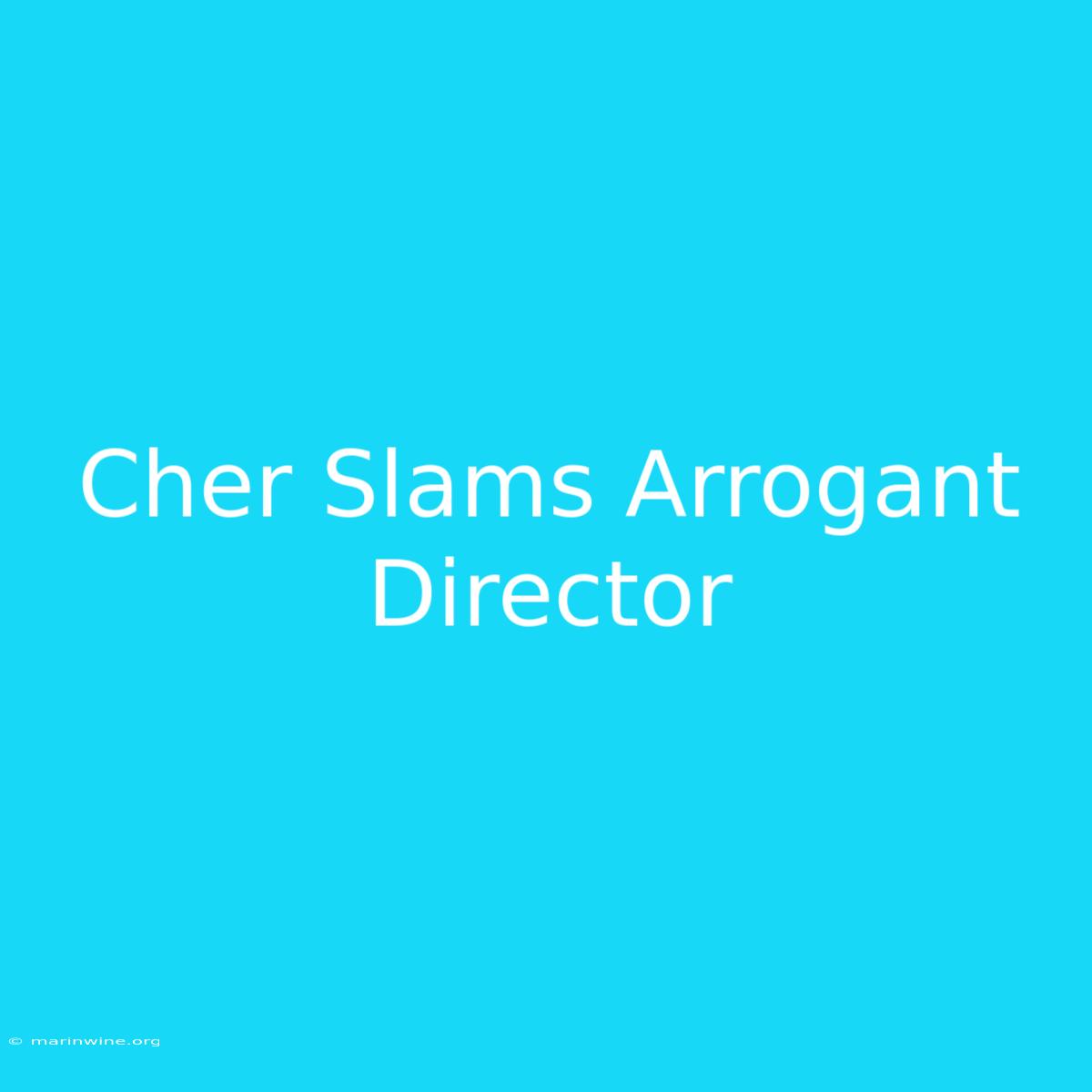 Cher Slams Arrogant Director