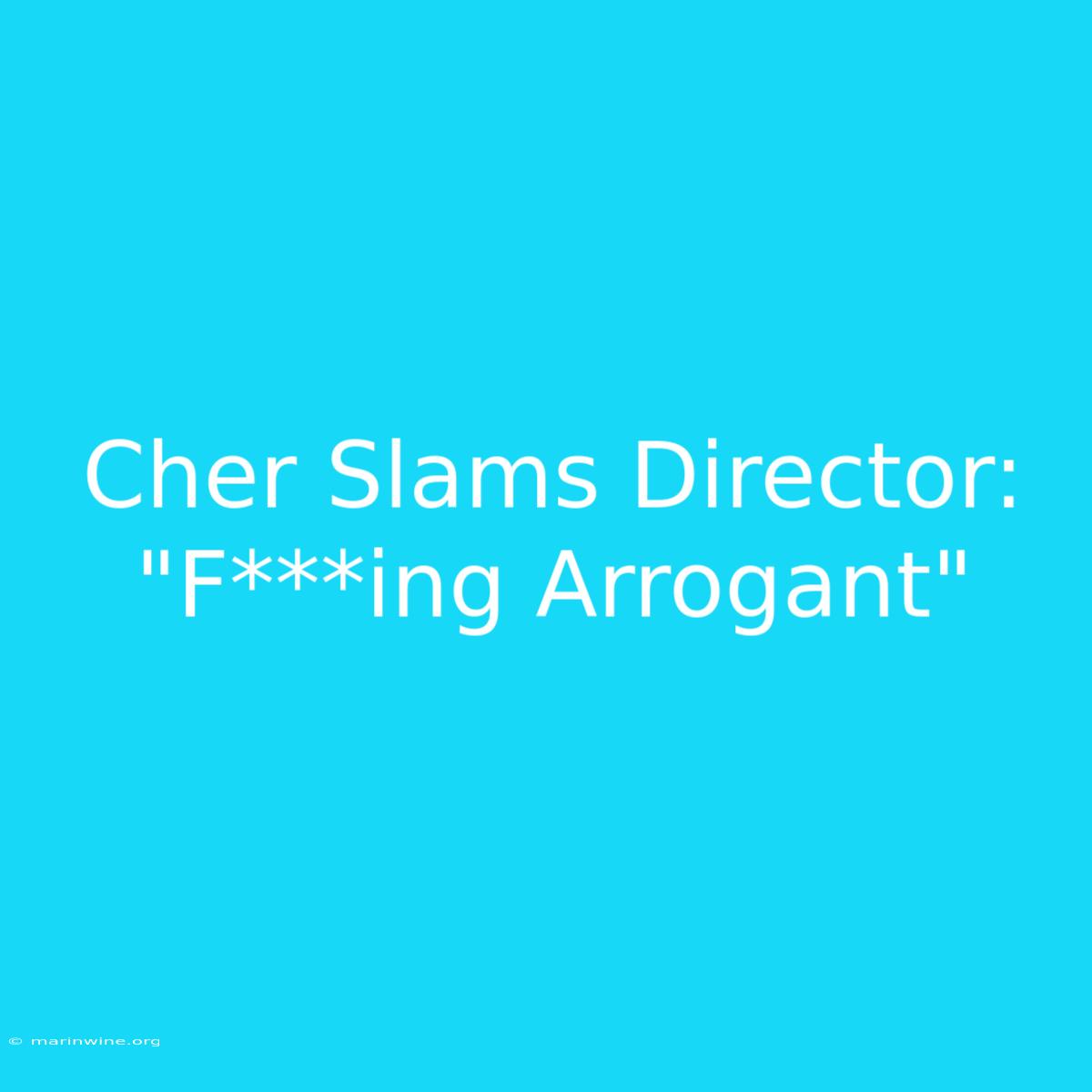 Cher Slams Director: 