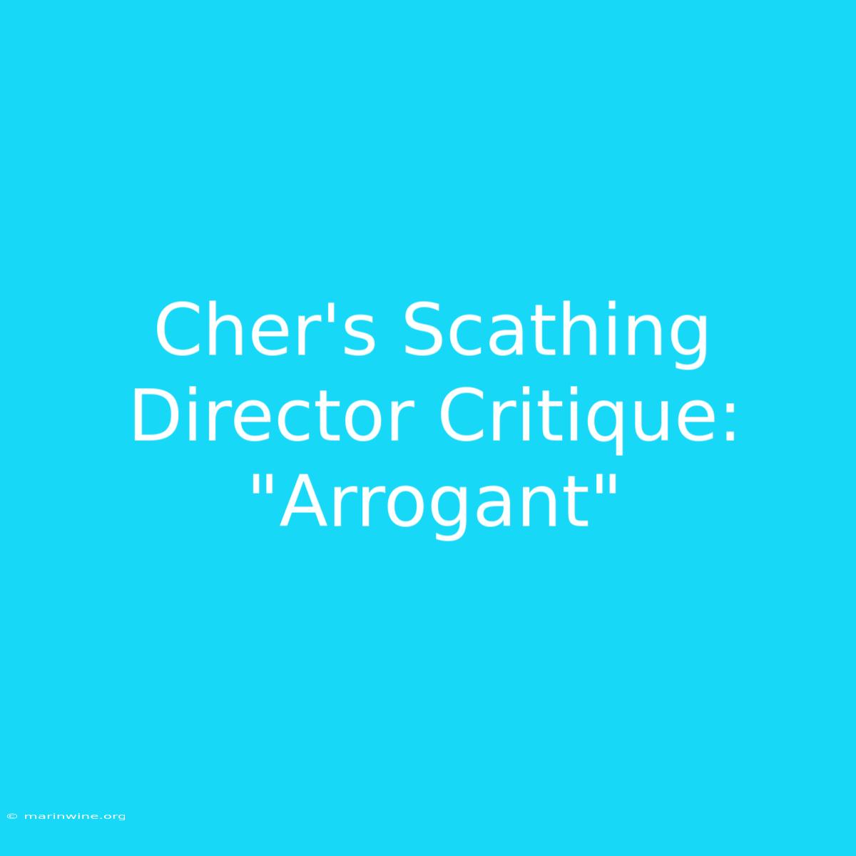 Cher's Scathing Director Critique: 