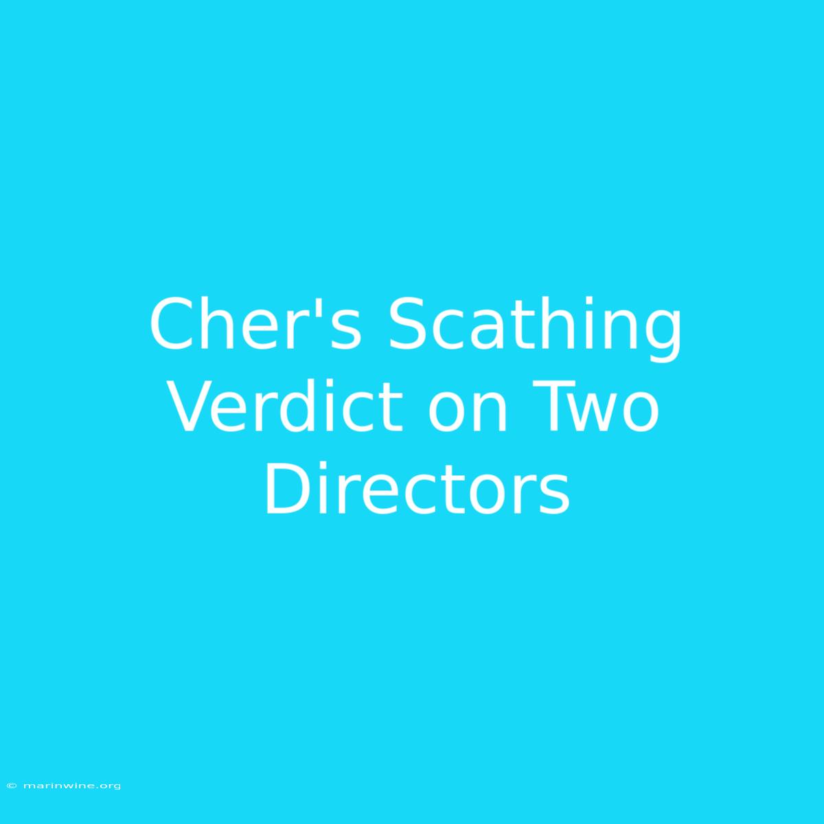 Cher's Scathing Verdict On Two Directors