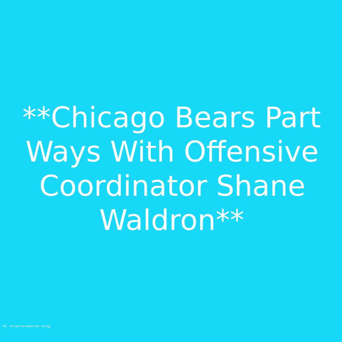 **Chicago Bears Part Ways With Offensive Coordinator Shane Waldron**