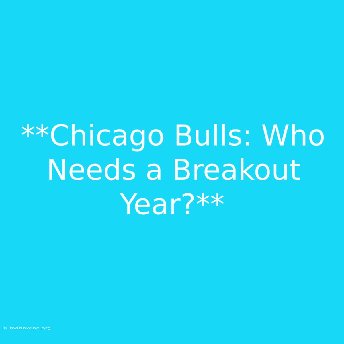 **Chicago Bulls: Who Needs A Breakout Year?**