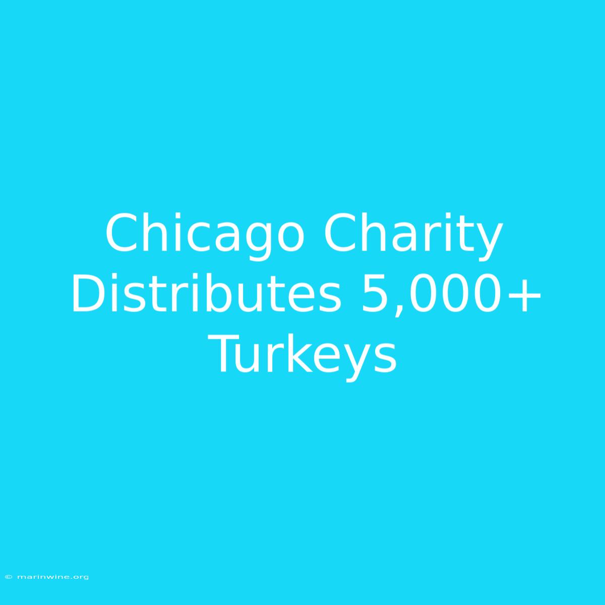 Chicago Charity Distributes 5,000+ Turkeys