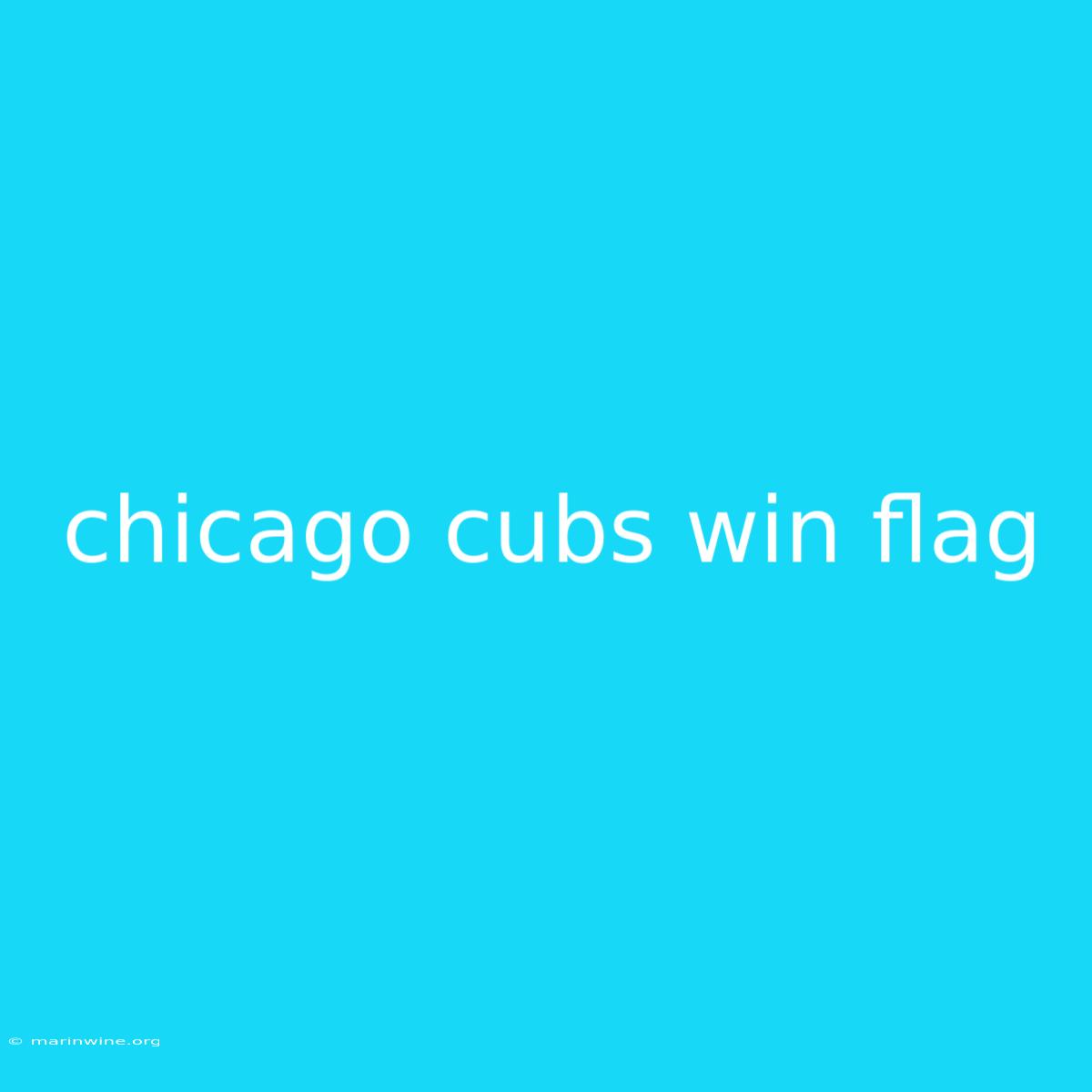 Chicago Cubs Win Flag