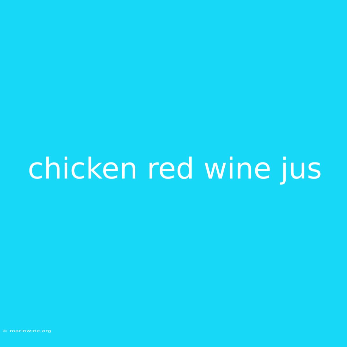 Chicken Red Wine Jus