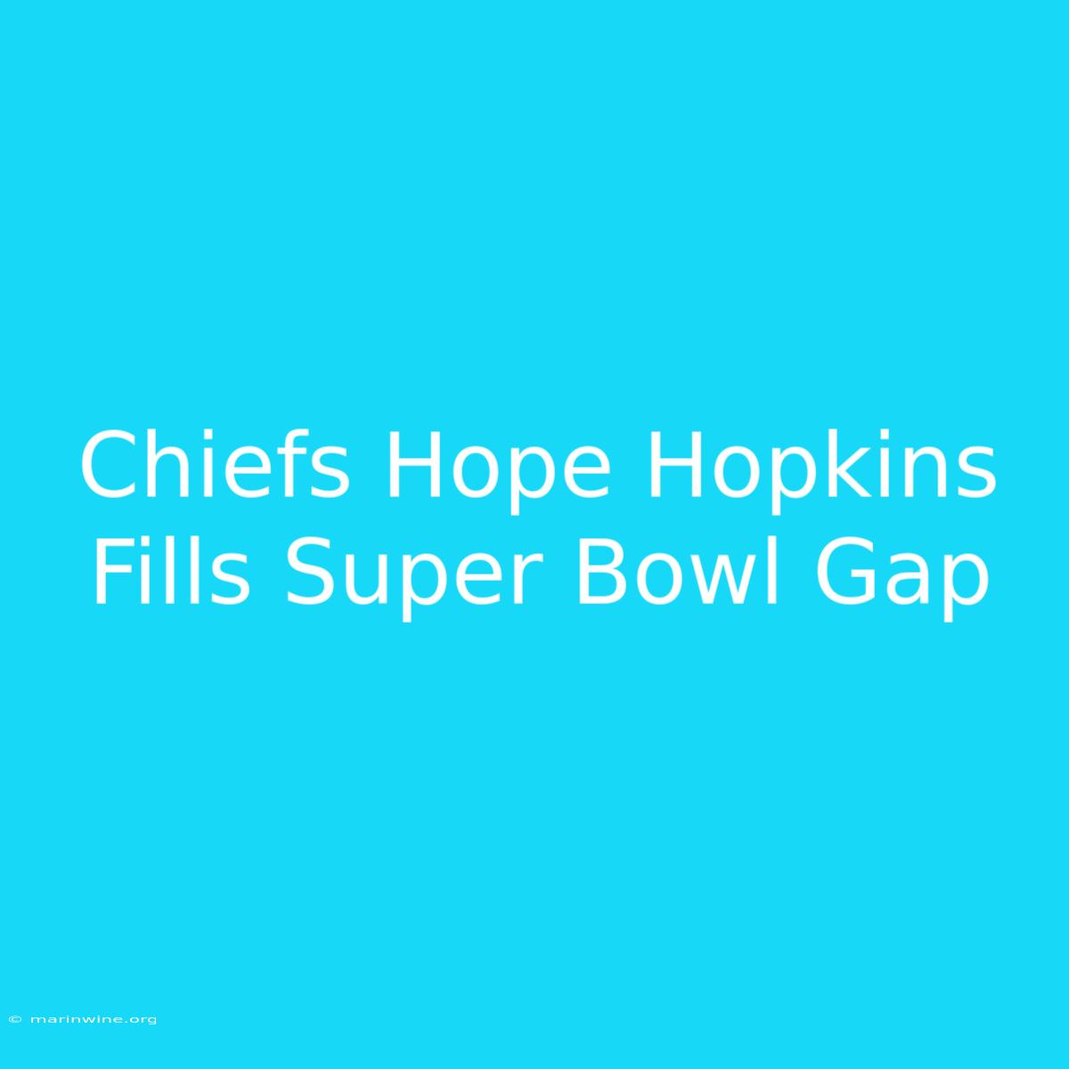 Chiefs Hope Hopkins Fills Super Bowl Gap