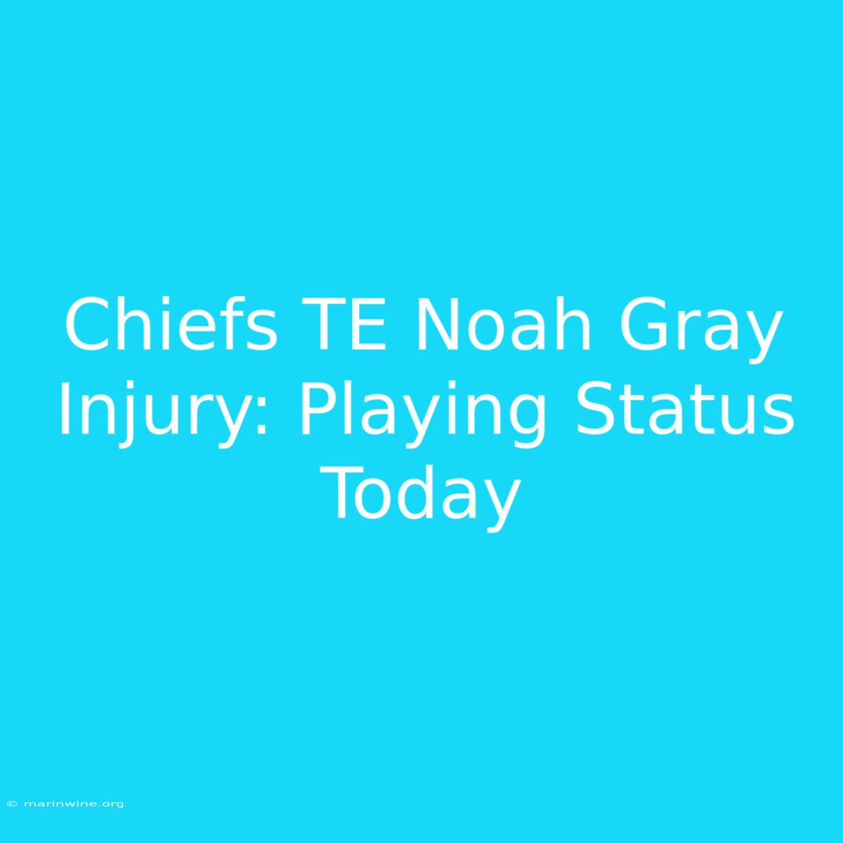 Chiefs TE Noah Gray Injury: Playing Status Today