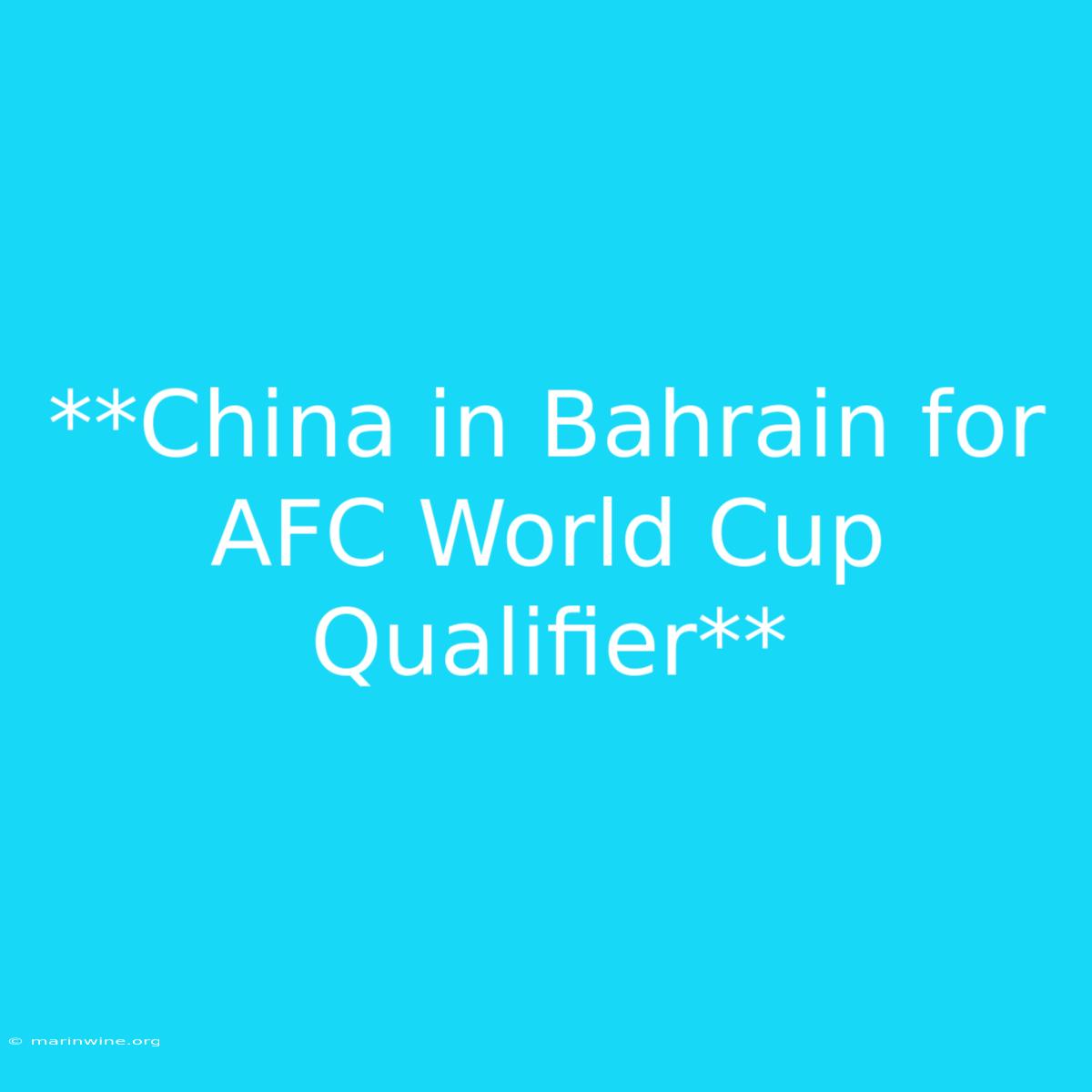 **China In Bahrain For AFC World Cup Qualifier**