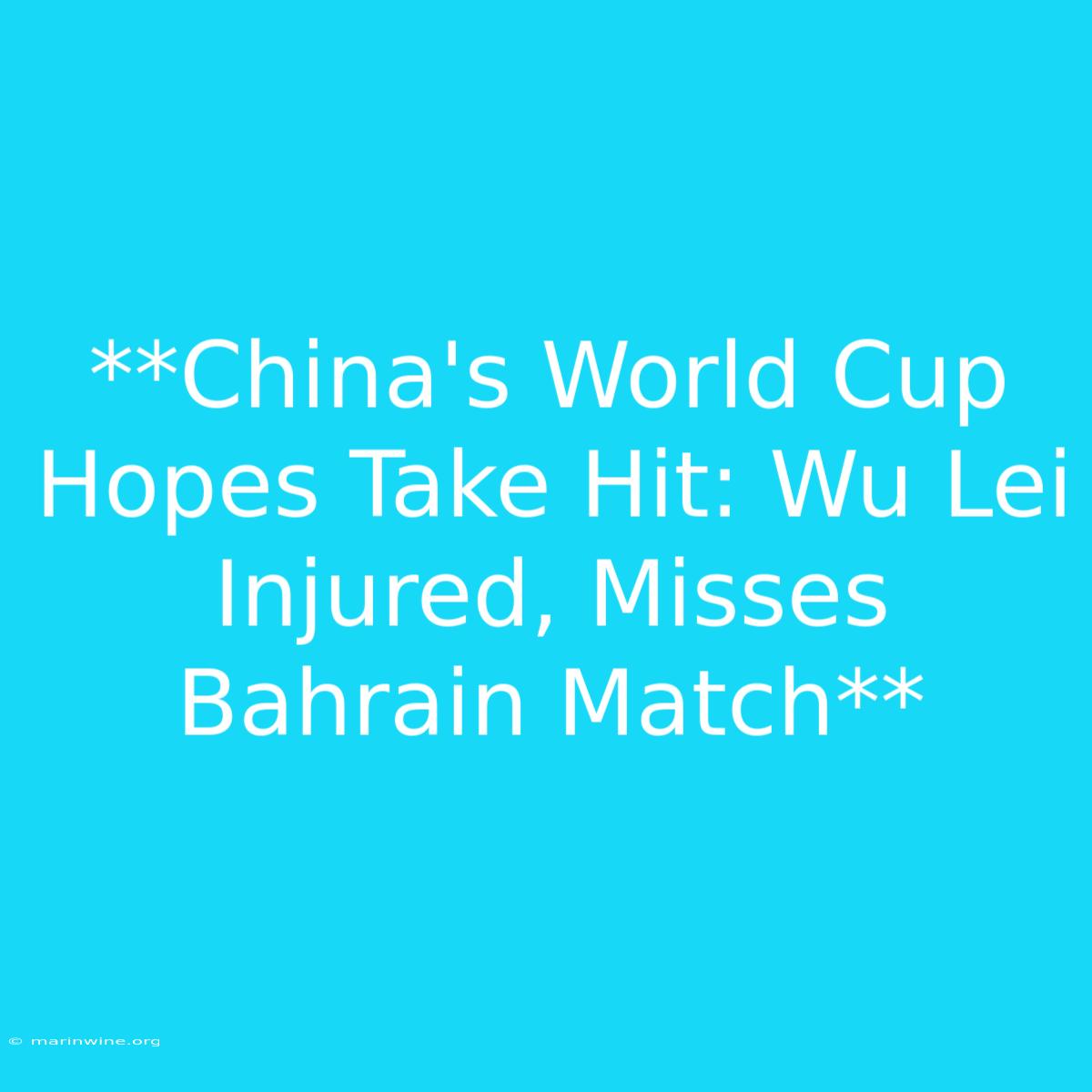 **China's World Cup Hopes Take Hit: Wu Lei Injured, Misses Bahrain Match** 