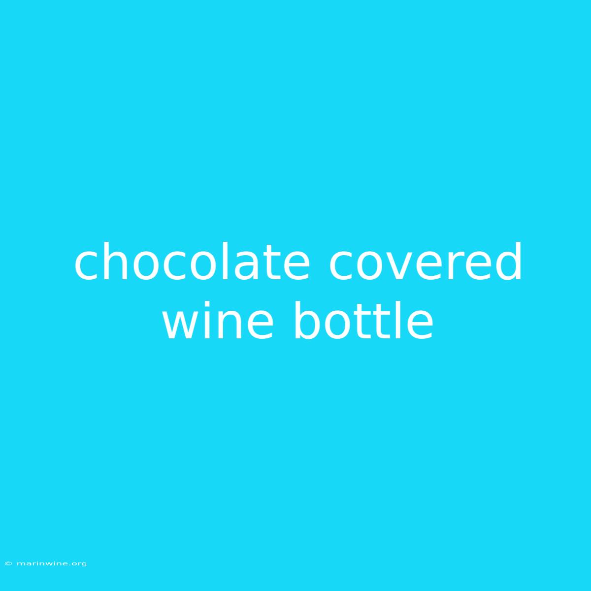 Chocolate Covered Wine Bottle