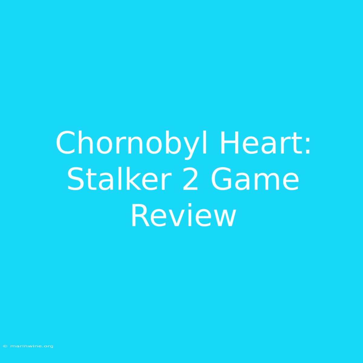 Chornobyl Heart: Stalker 2 Game Review