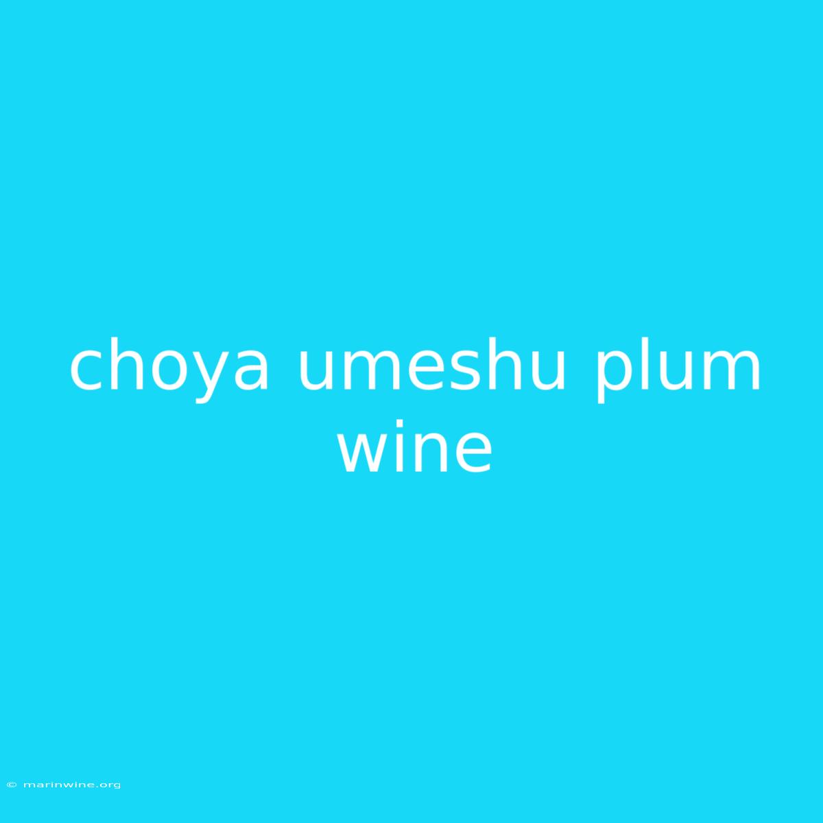 Choya Umeshu Plum Wine