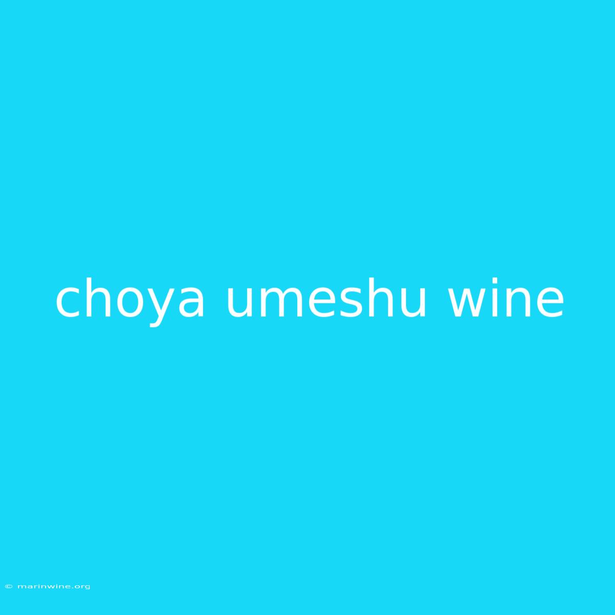 Choya Umeshu Wine