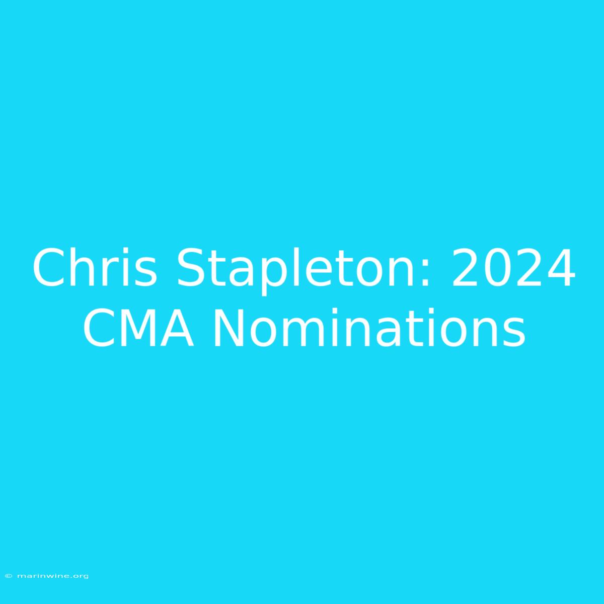 Chris Stapleton: 2024 CMA Nominations