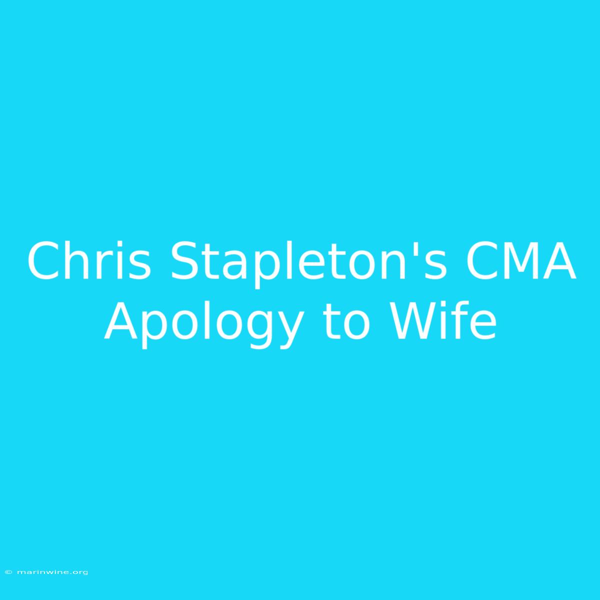 Chris Stapleton's CMA Apology To Wife