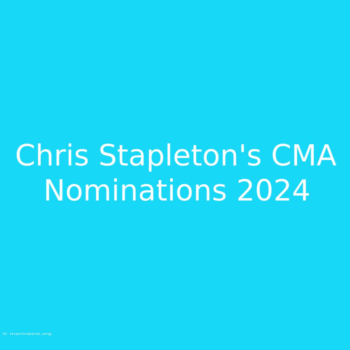 Chris Stapleton's CMA Nominations 2024