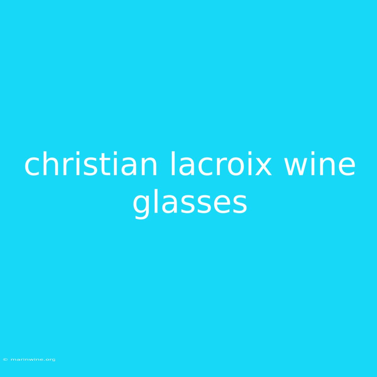 Christian Lacroix Wine Glasses