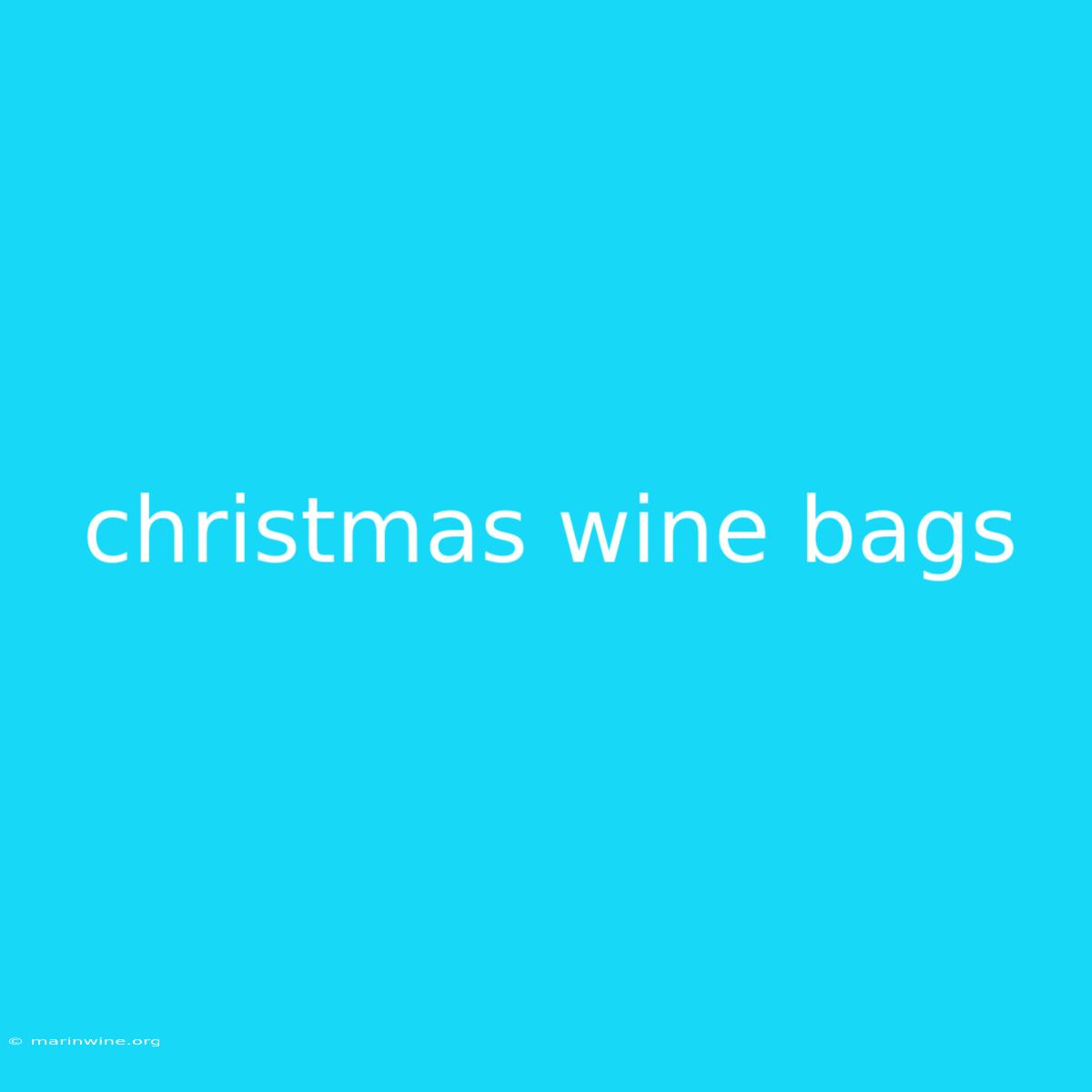 Christmas Wine Bags