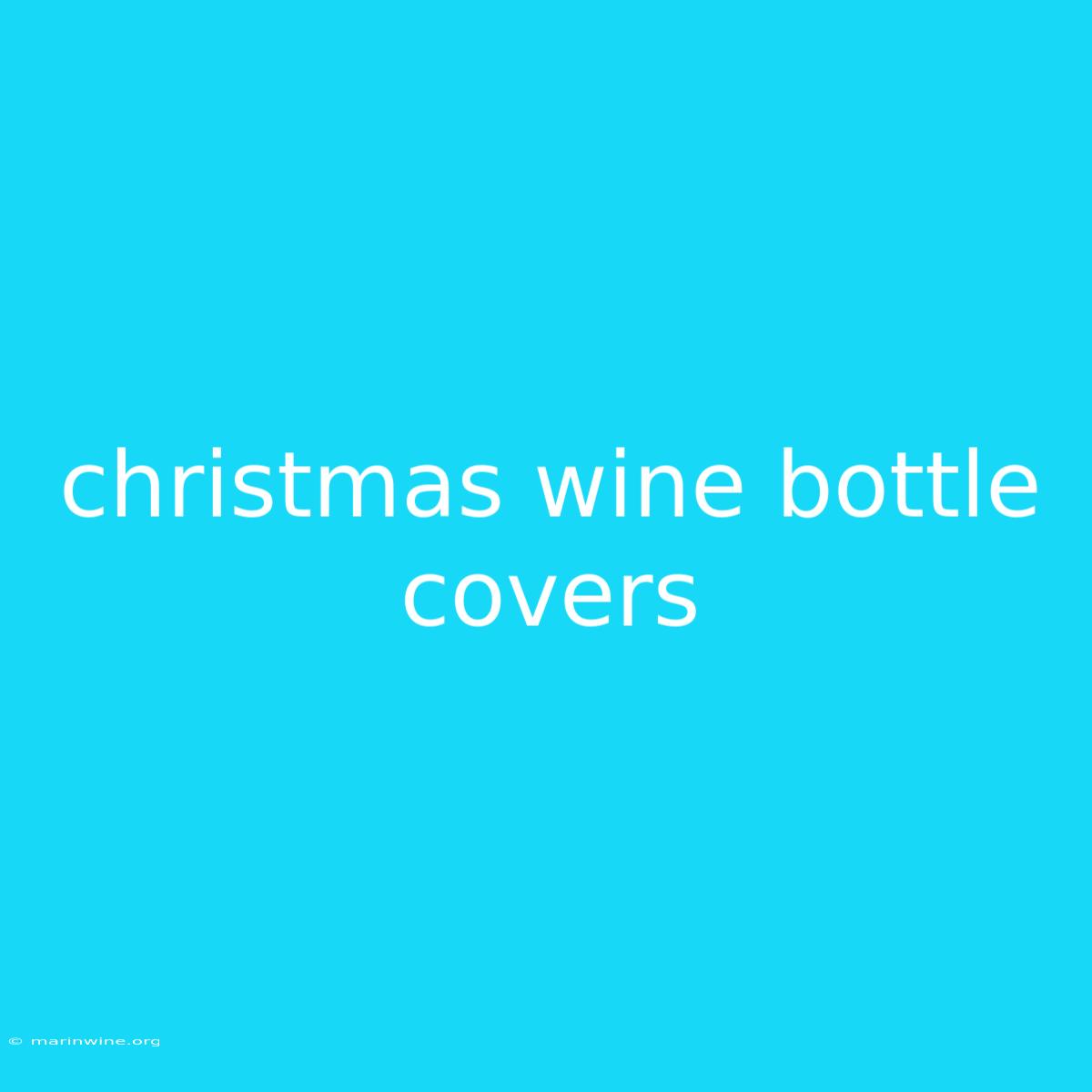 Christmas Wine Bottle Covers