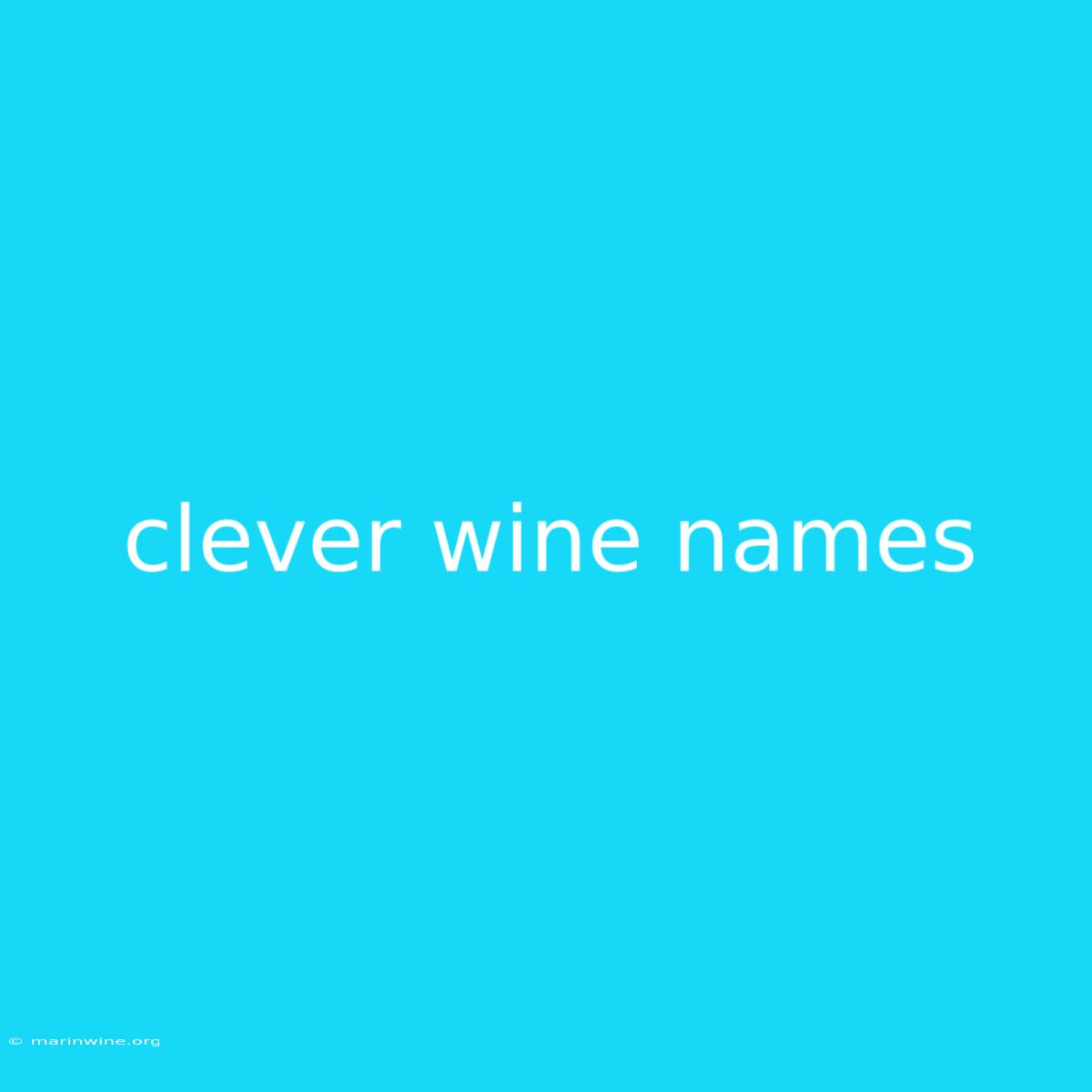 Clever Wine Names