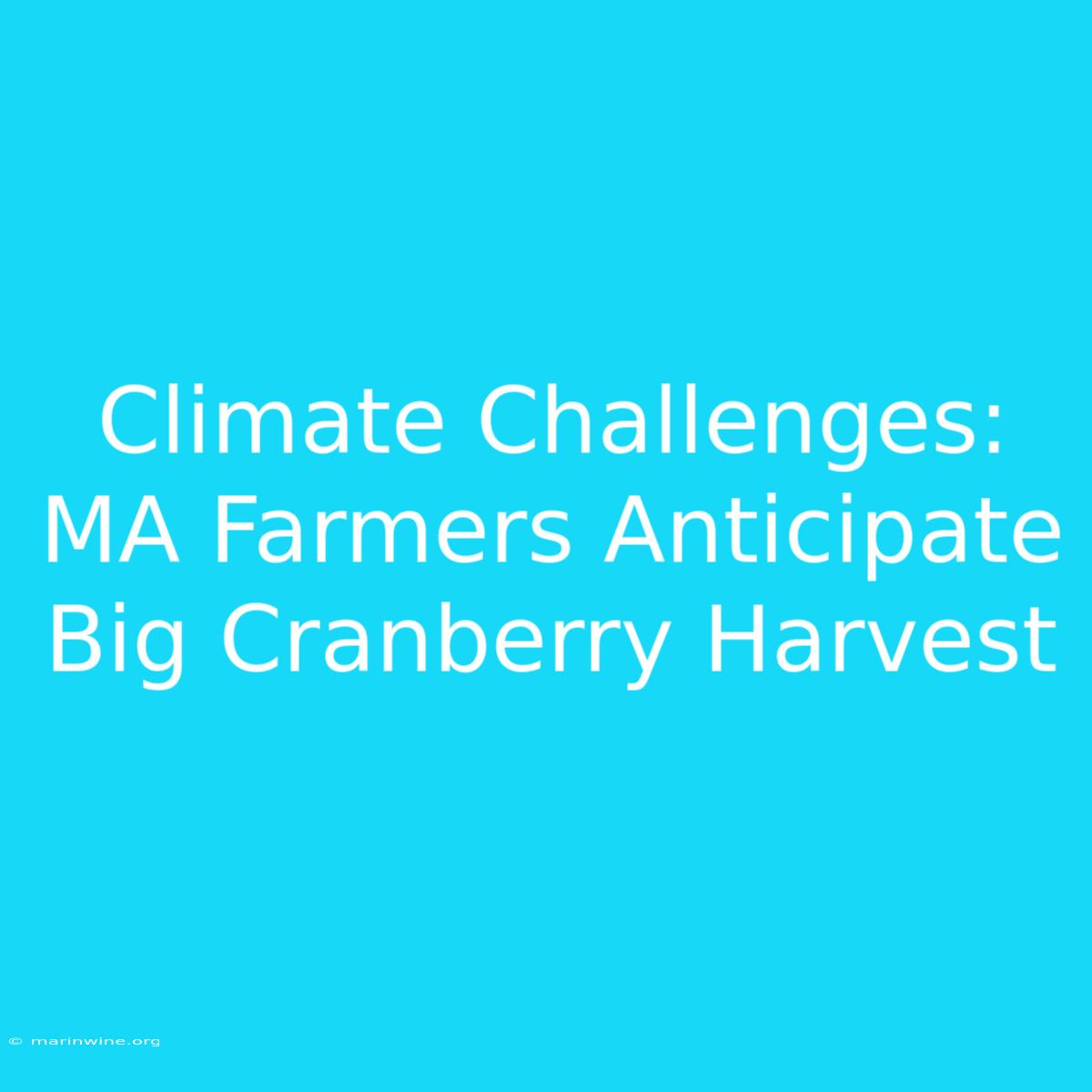 Climate Challenges: MA Farmers Anticipate Big Cranberry Harvest