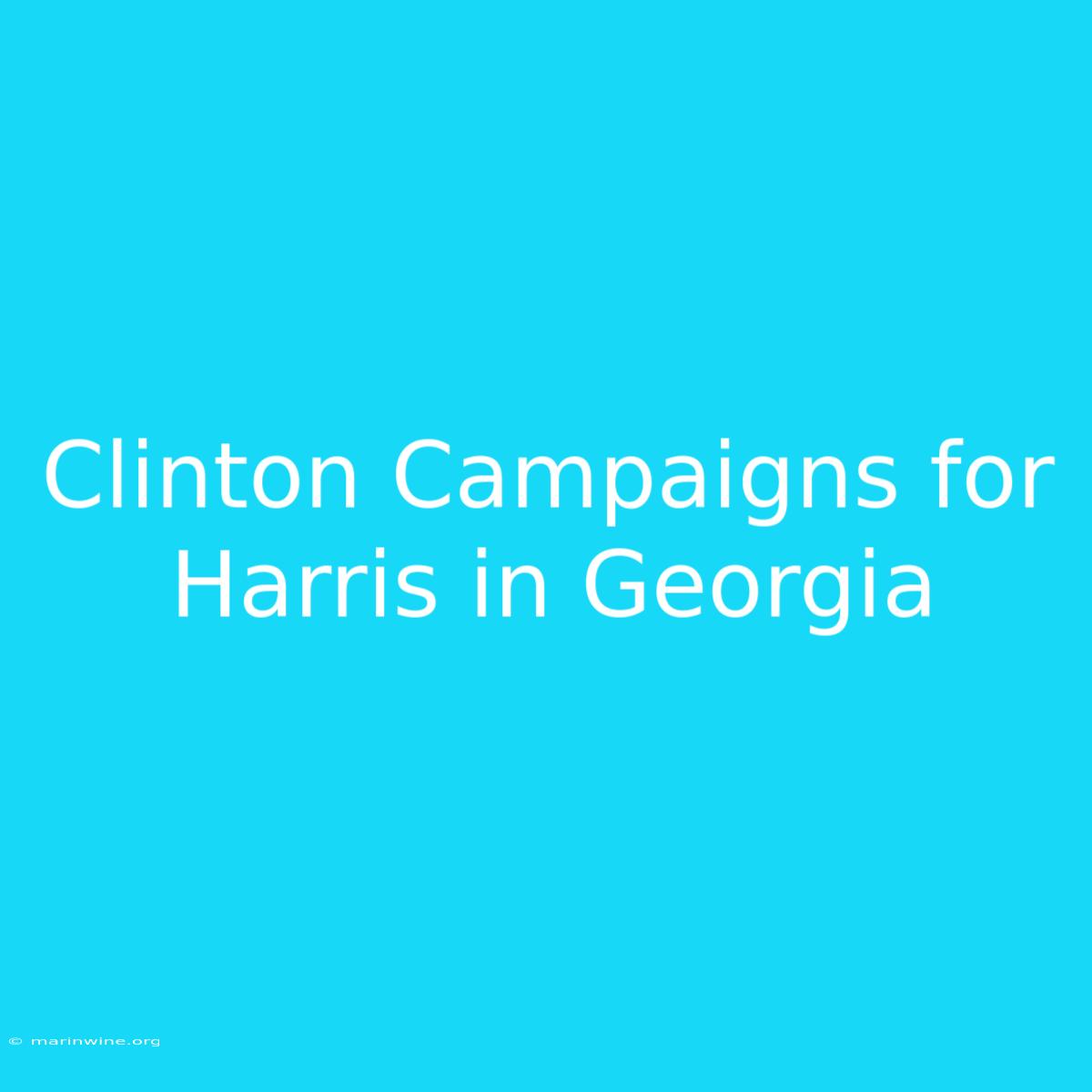 Clinton Campaigns For Harris In Georgia