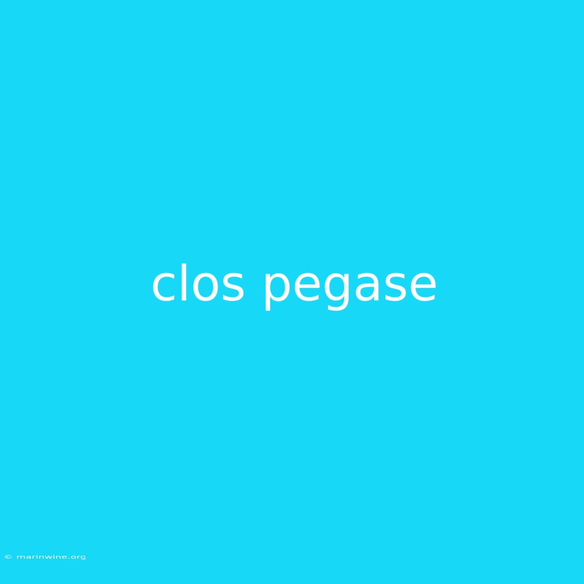 Clos Pegase