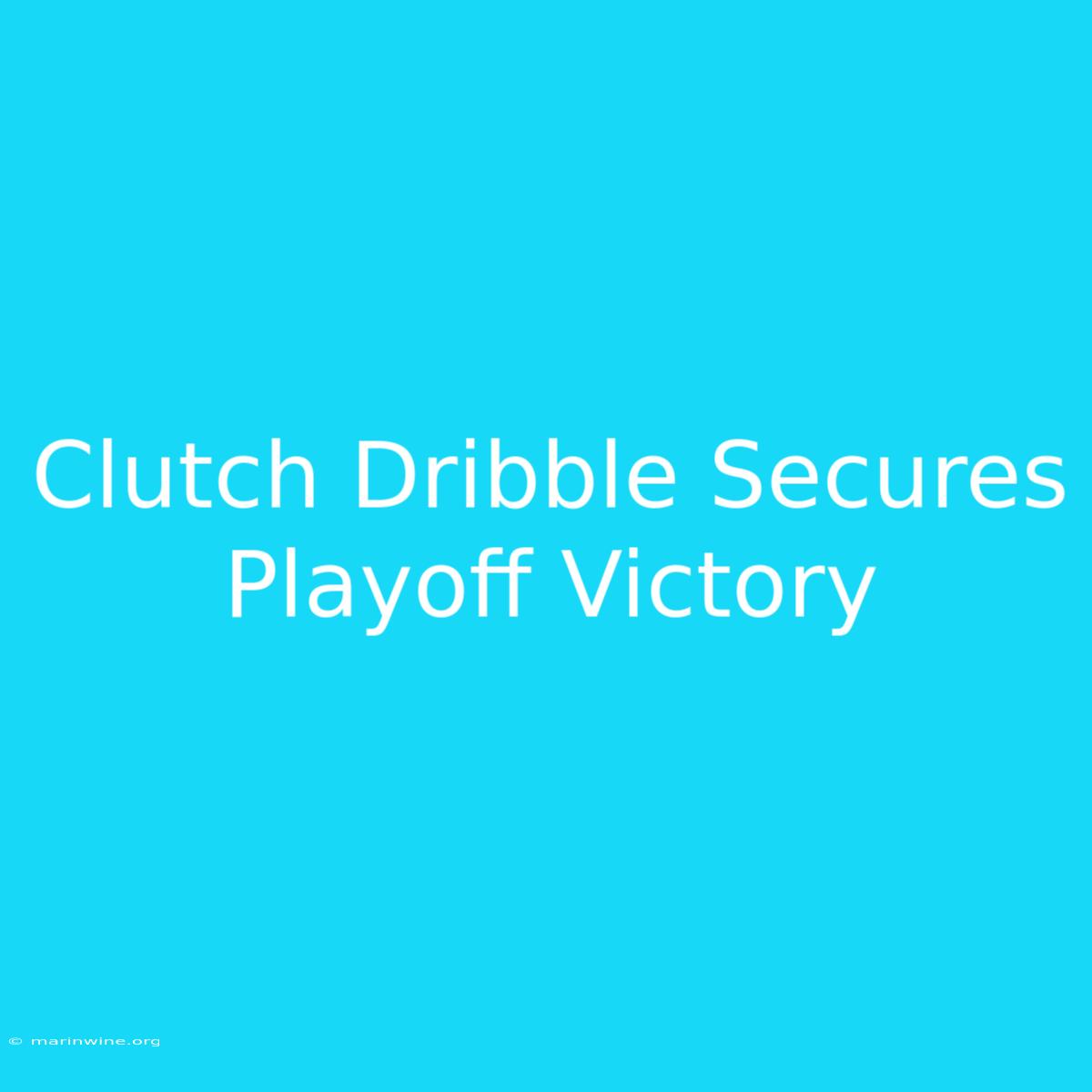 Clutch Dribble Secures Playoff Victory