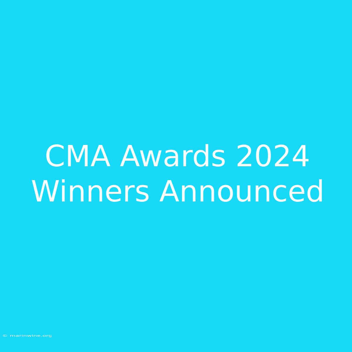 CMA Awards 2024 Winners Announced