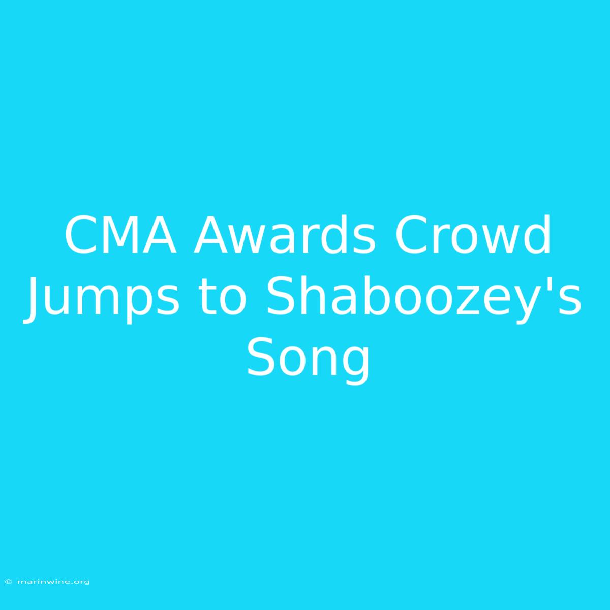 CMA Awards Crowd Jumps To Shaboozey's Song