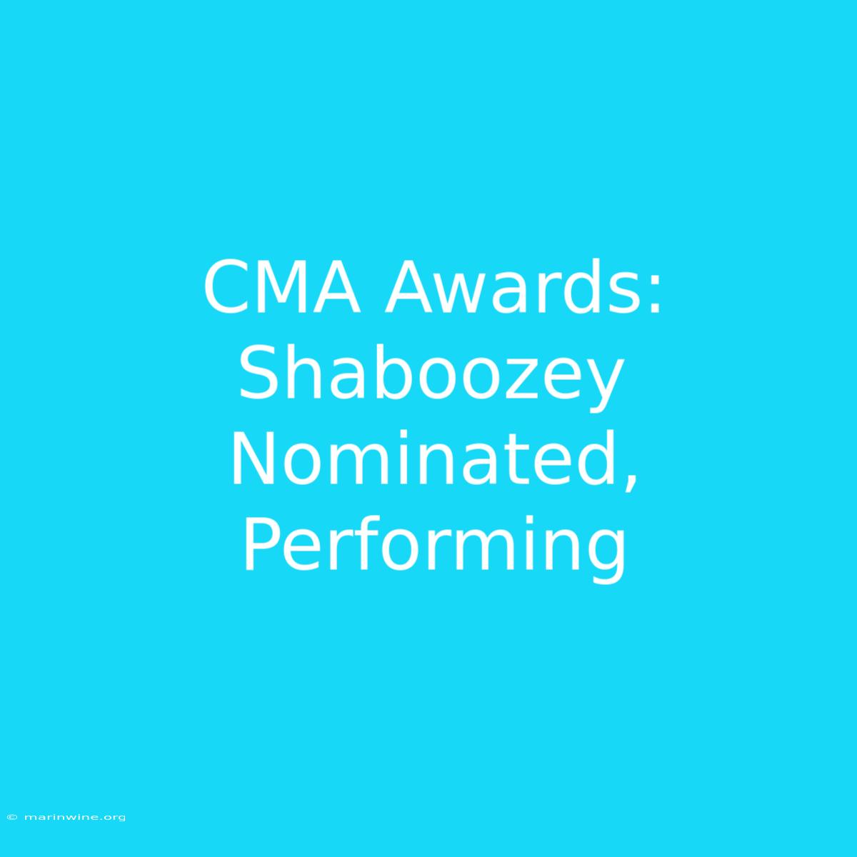 CMA Awards: Shaboozey Nominated, Performing